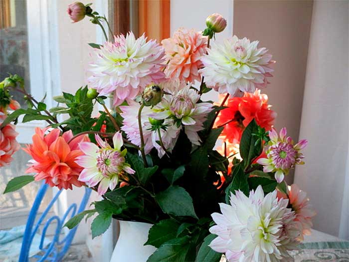 Flowers-in-Vase